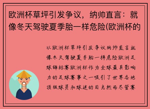 欧洲杯草坪引发争议，纳帅直言：就像冬天驾驶夏季胎一样危险(欧洲杯的草坪)
