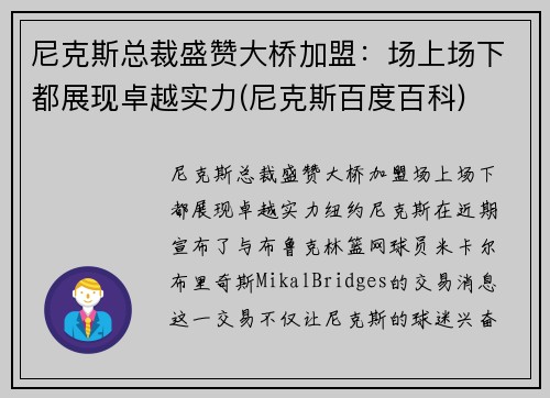 尼克斯总裁盛赞大桥加盟：场上场下都展现卓越实力(尼克斯百度百科)